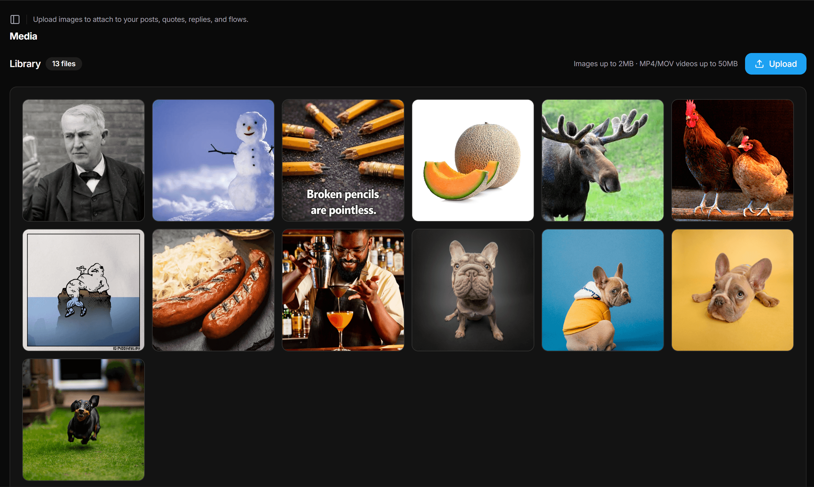 Media — the library grid with upload button and file details